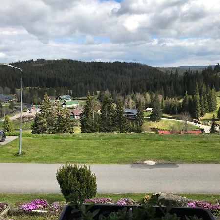 Apartman Na Kopecku Modrava Exteriör bild