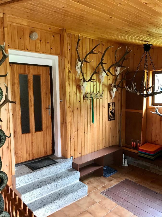Apartman Na Kopecku Modrava Exteriör bild